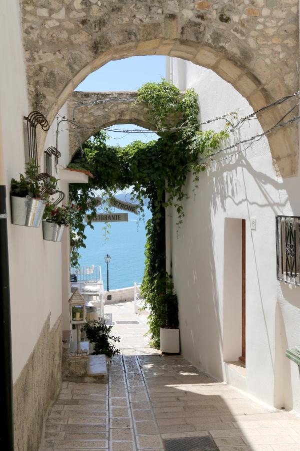 Piazzetta Petrone Apartments + Parking Vieste Exterior foto